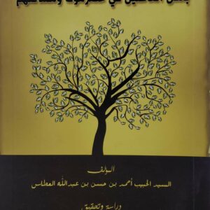 السفينه المجموعه في انساب بعض القاطنين في حضرموت ومساكنهم