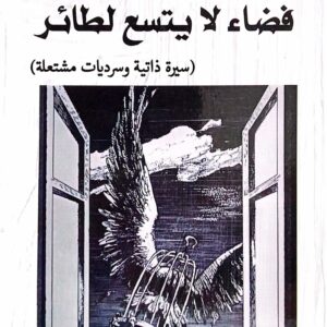 فضاء لا يتسع لطائر أحمد سيف حاشد