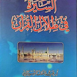 السيرة في ظلال القرآن