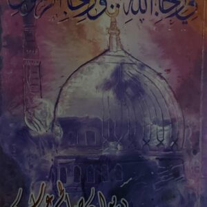 في رحاب الله ورحاب الرسول ديوان(صالح عباس)