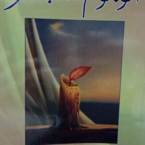 الوجوم المبعثر شعر(صالح النظاري)