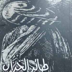 طائر الخراب رواية (حبيب عبد الرب سروري)