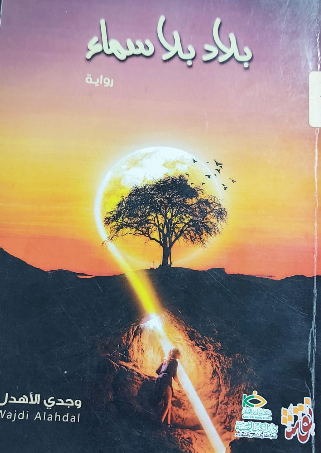 بلاد بلا سماء رواية (وجدي الأهدل)