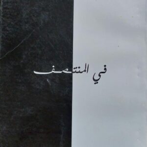 في المنتصف (عائدة الأغبري)