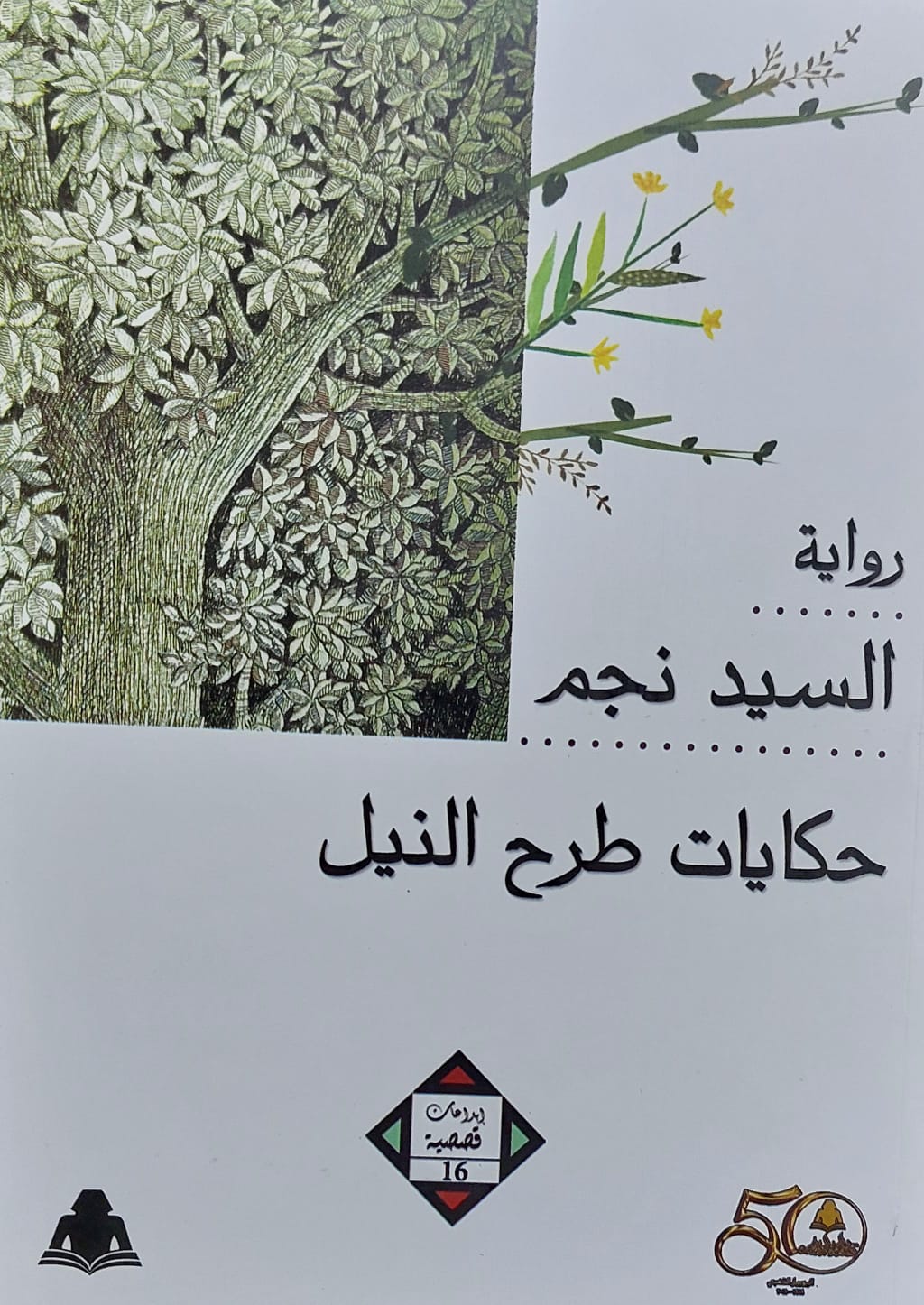 حكايات طرح النيل رواية (السيد نجم)