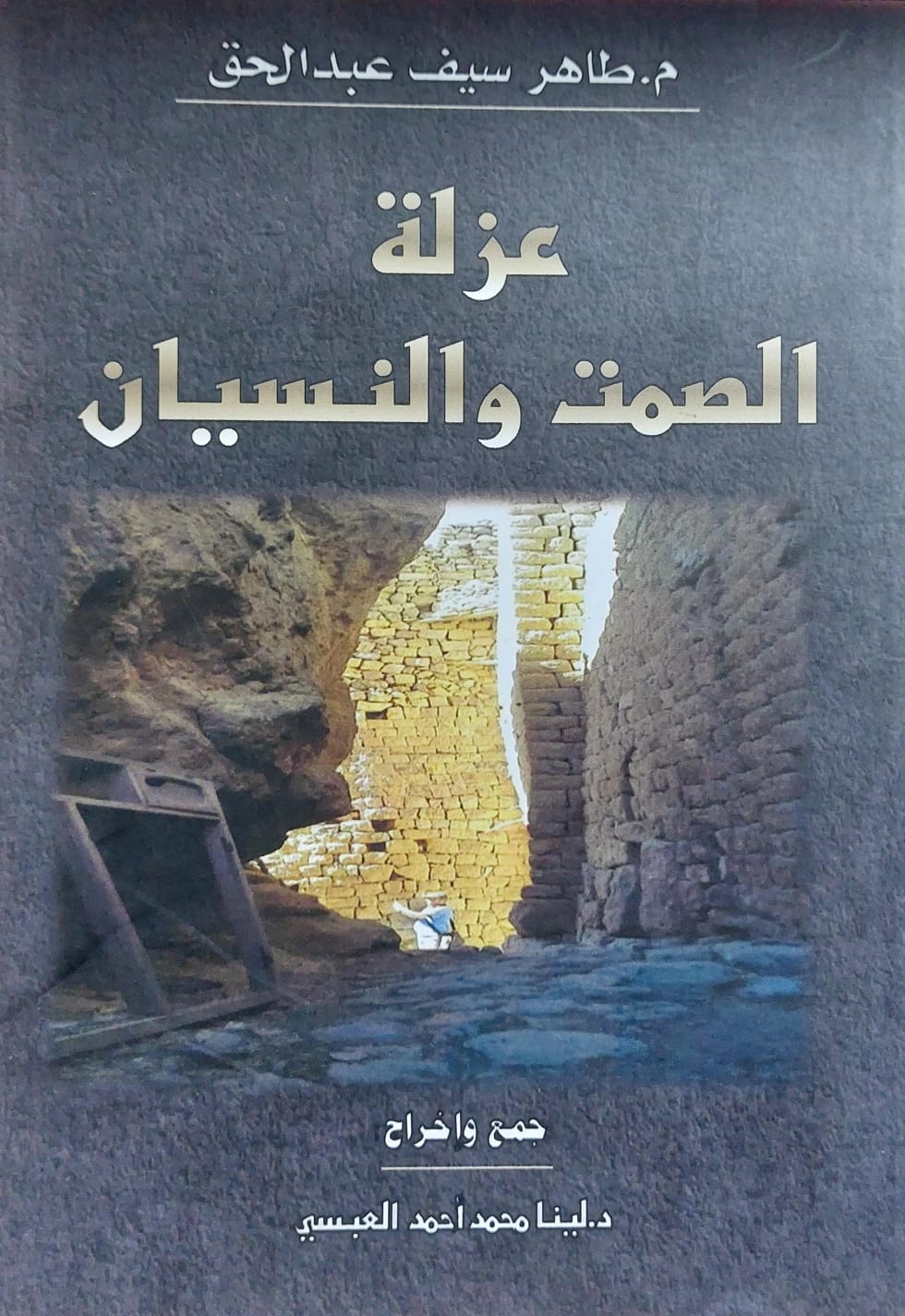 عزلة الصمت والنسيان (م. طاهر سيف عبدالحق)