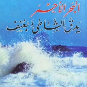 البحر الأحمر يدق الشاطئ بعُنف (إبراهيم بن علي الوزير)