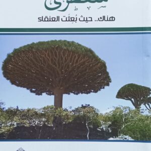 سُــــقطرى هناك...حيث بُعثت العنقـــاء (فيتالي ناومكين)